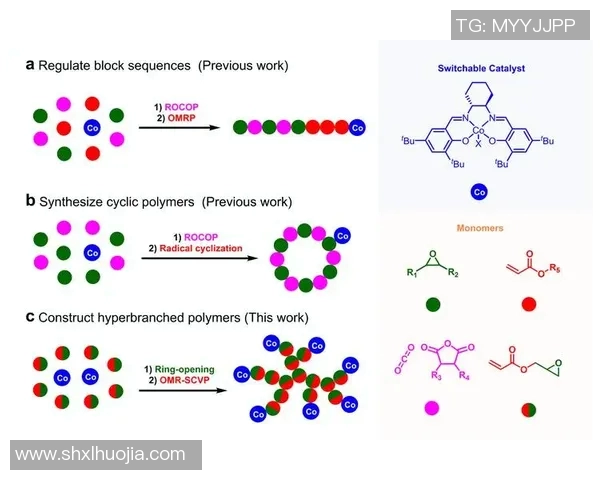 深入探讨DOTA2战队WE的游戏意识与团队协作策略分析 深入探讨DOTA2战队WE的游戏意识与团队协作策略分析