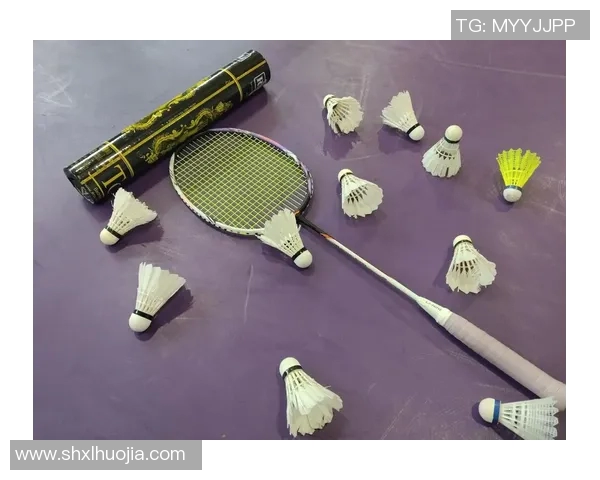 赵娜独家分享羽毛球技巧与心得助你提升竞技水平与乐趣